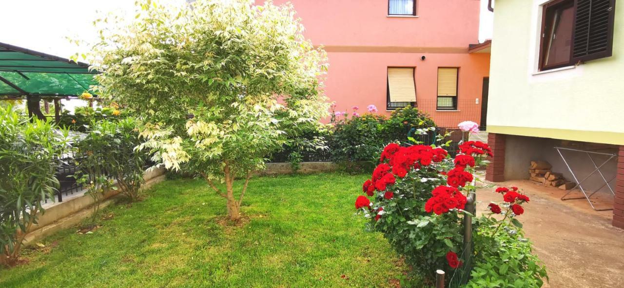 Apartments Grassi By Rent Istria Umag Exterior foto